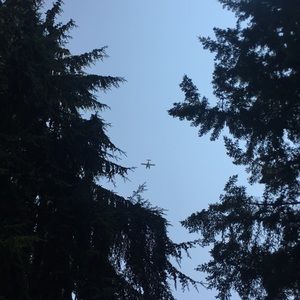 Meet your Posher, Hector